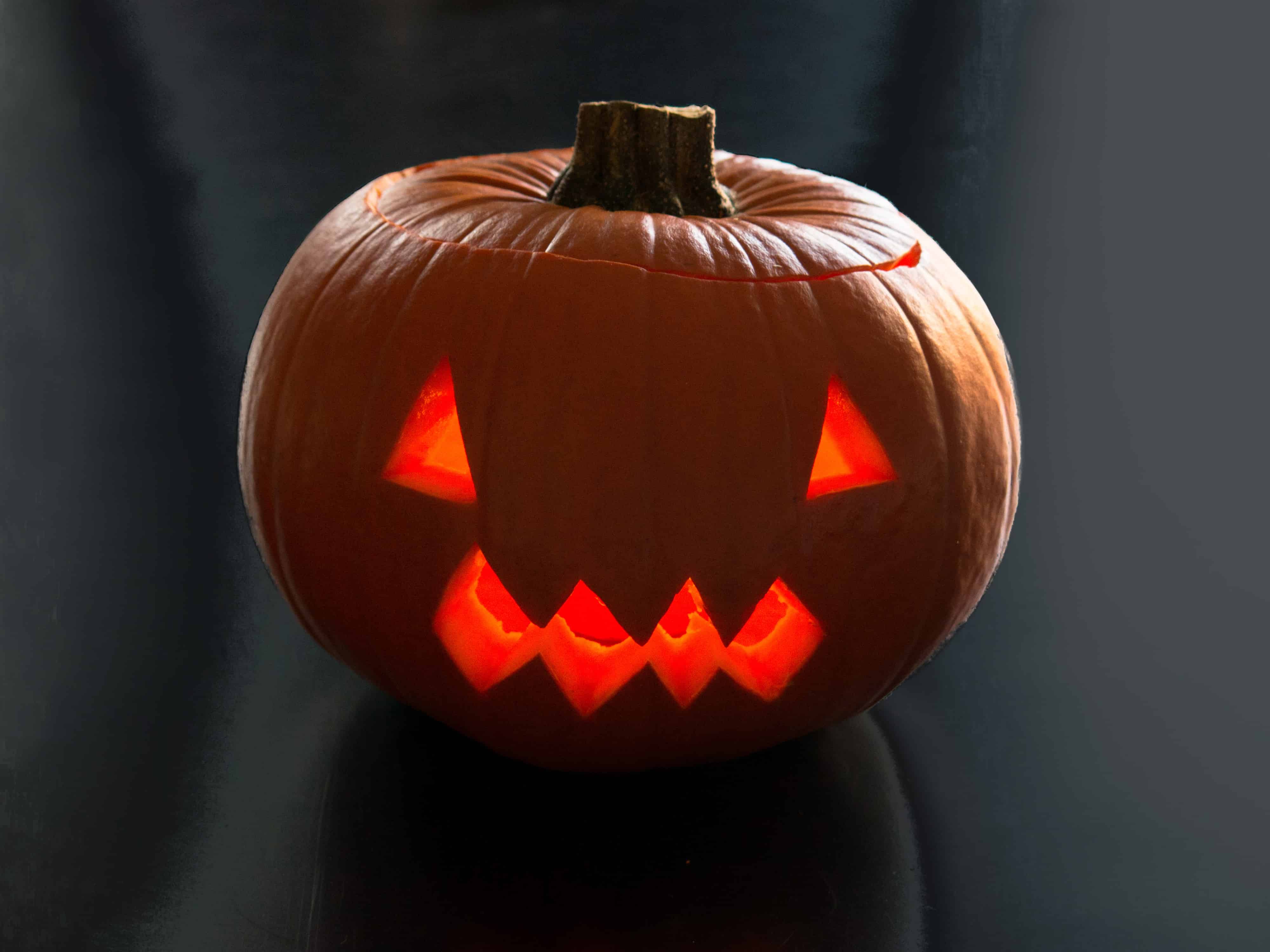 Halloween carved pumpkin lantern.