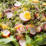 Radish and Cress Salad