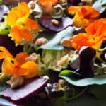 Nasturtium, Beetroot and Walnut Summer Salad