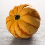 Seasonal October Pumpkin